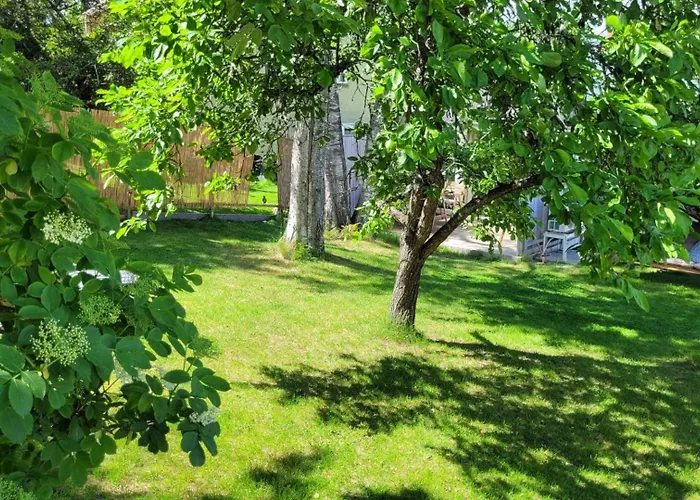 Sparkling Newly Built House Close To City & Nature